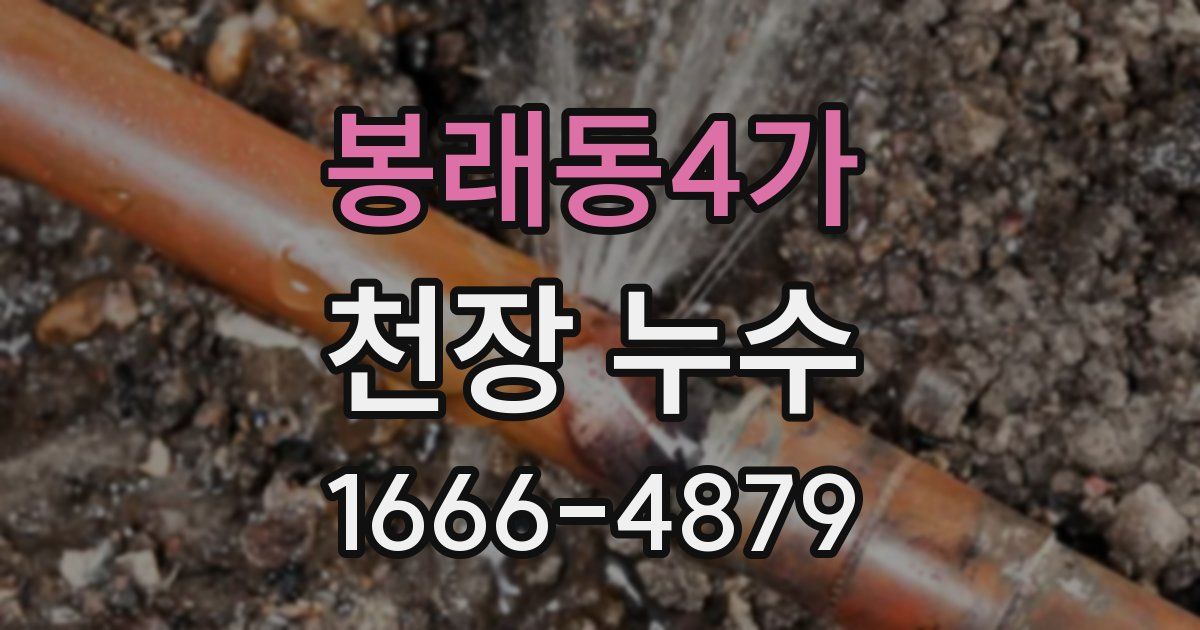 봉래동4가 천장 누수