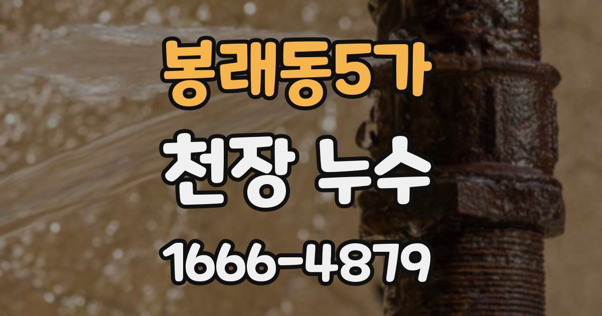 봉래동5가 천장 누수