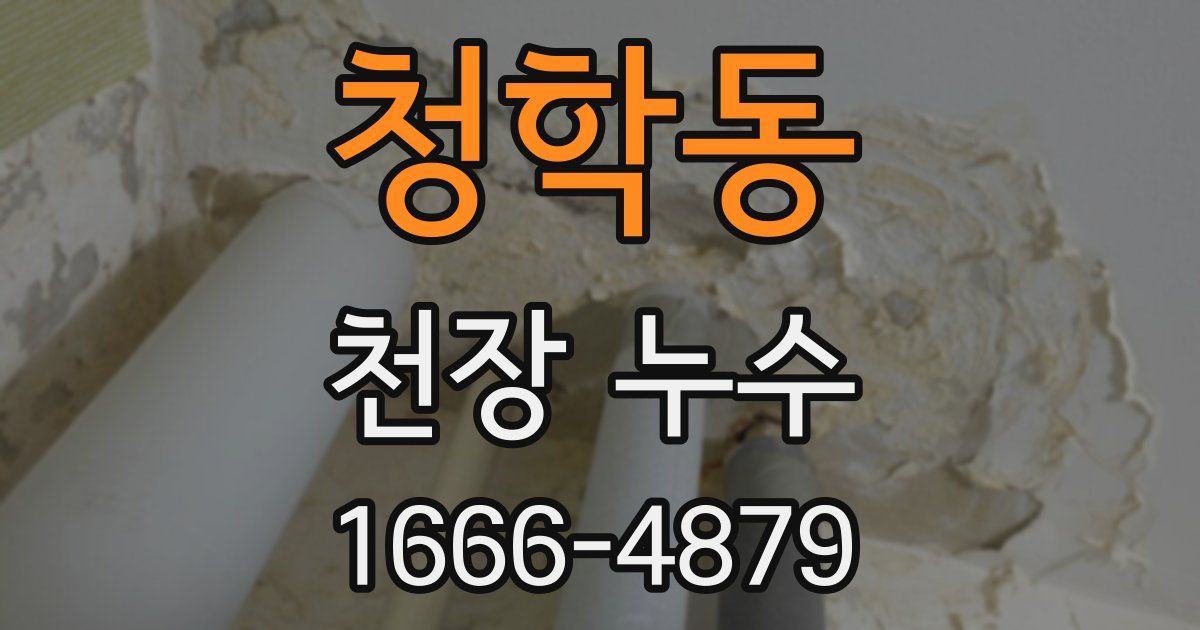 청학동 천장 누수
