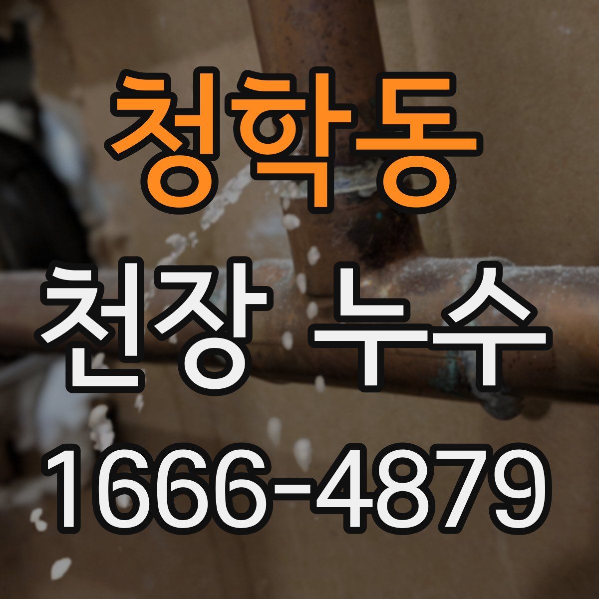 청학동 천장 누수