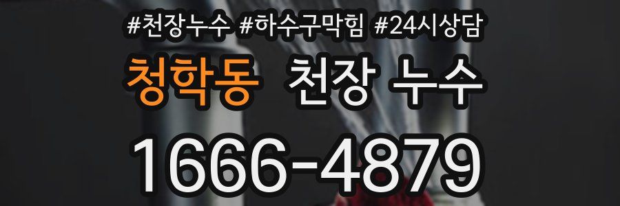 청학동 천장 누수