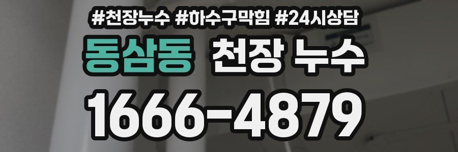 동삼동 천장 누수