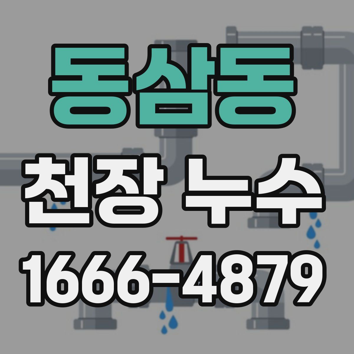 동삼동 천장 누수