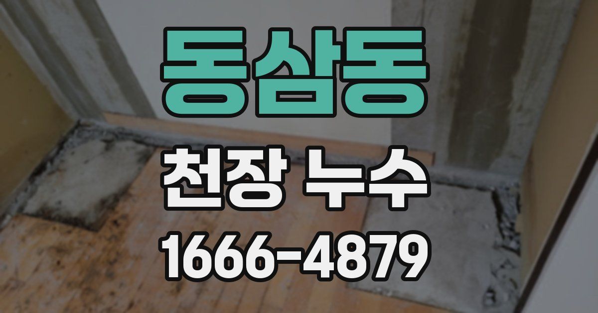 동삼동 천장 누수