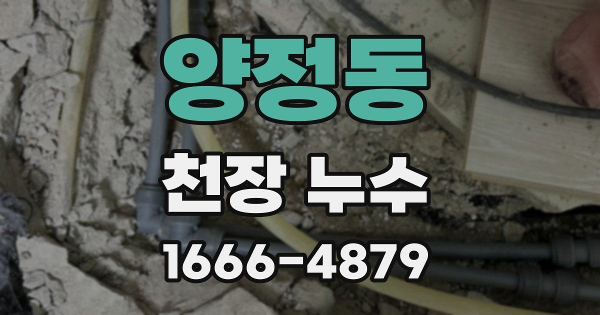 양정동 천장 누수