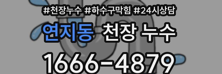 연지동 천장 누수