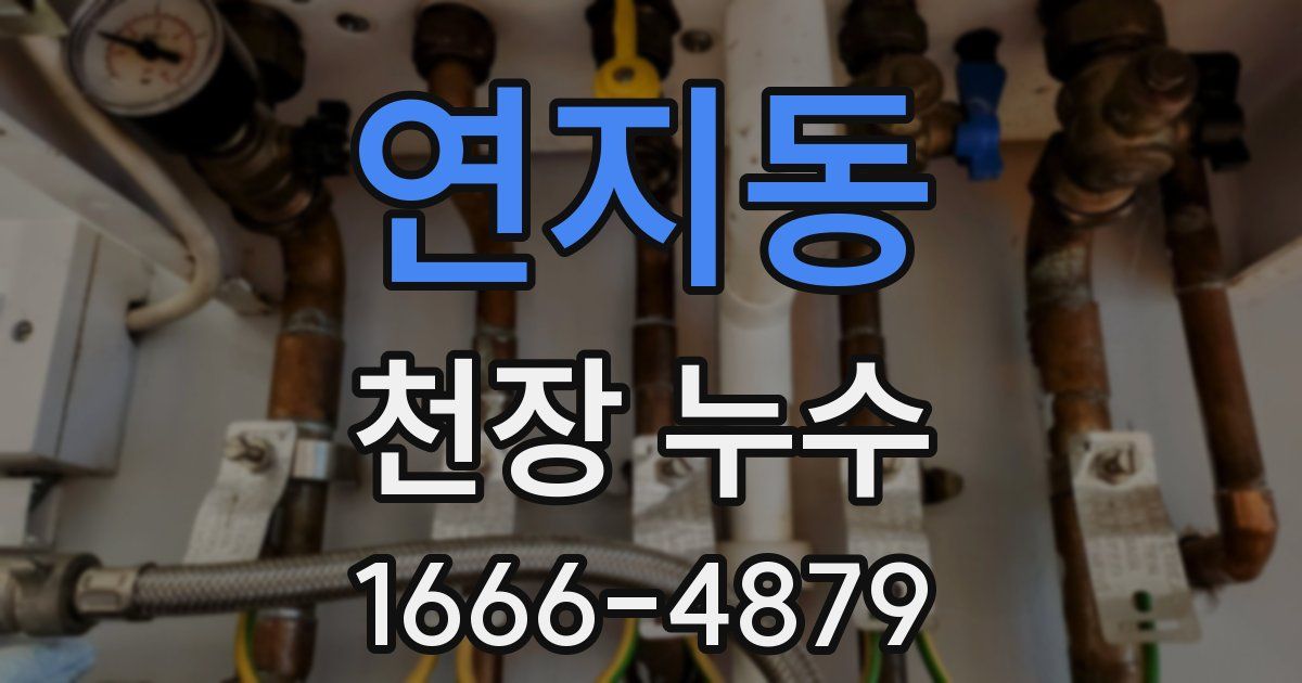 연지동 천장 누수