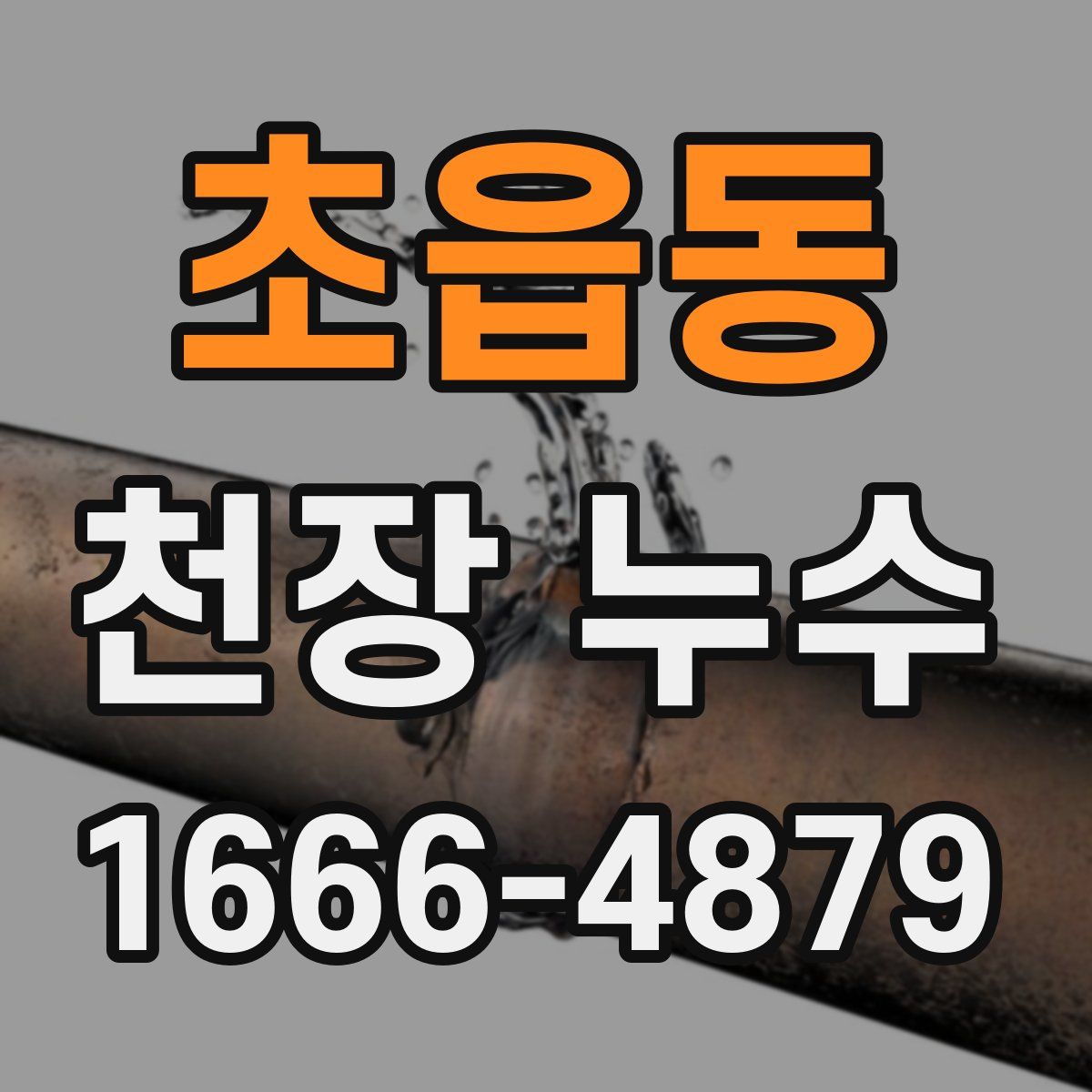 초읍동 천장 누수