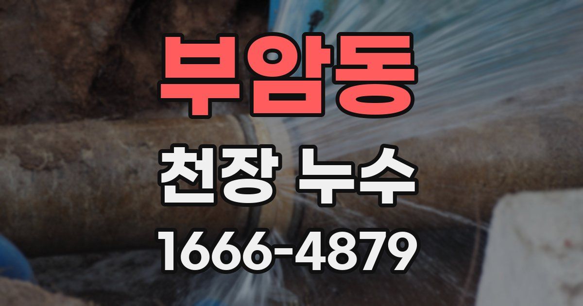 부암동 천장 누수