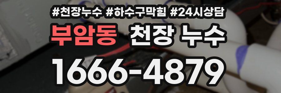 부암동 천장 누수