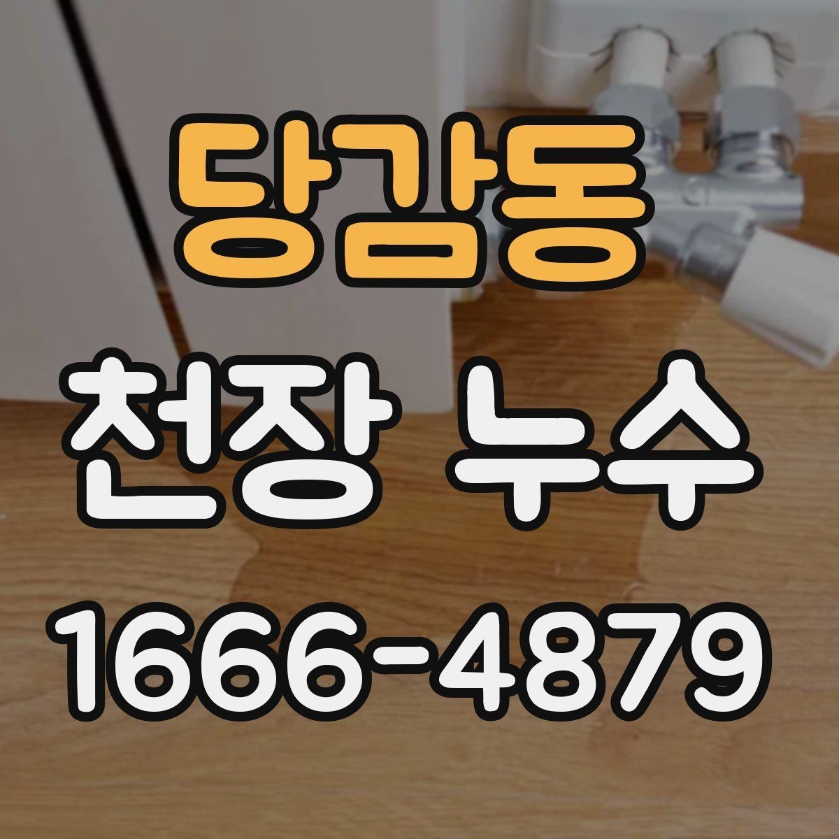 당감동 천장 누수 원인 해결 후 복구는 언제 하는 게 좋을까