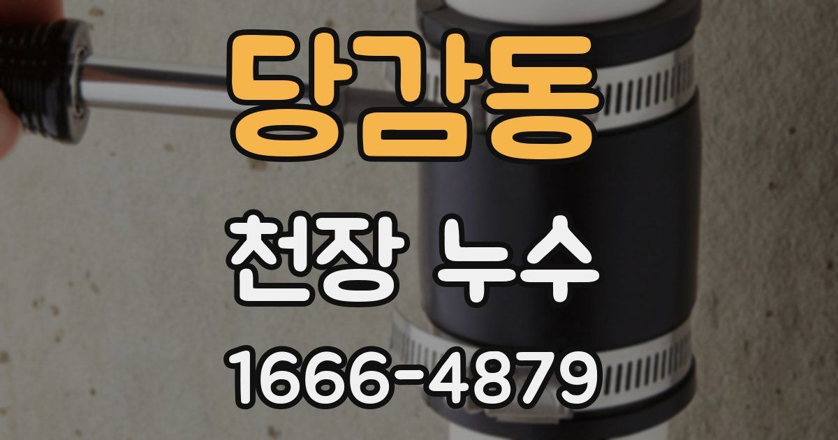 당감동 천장 누수