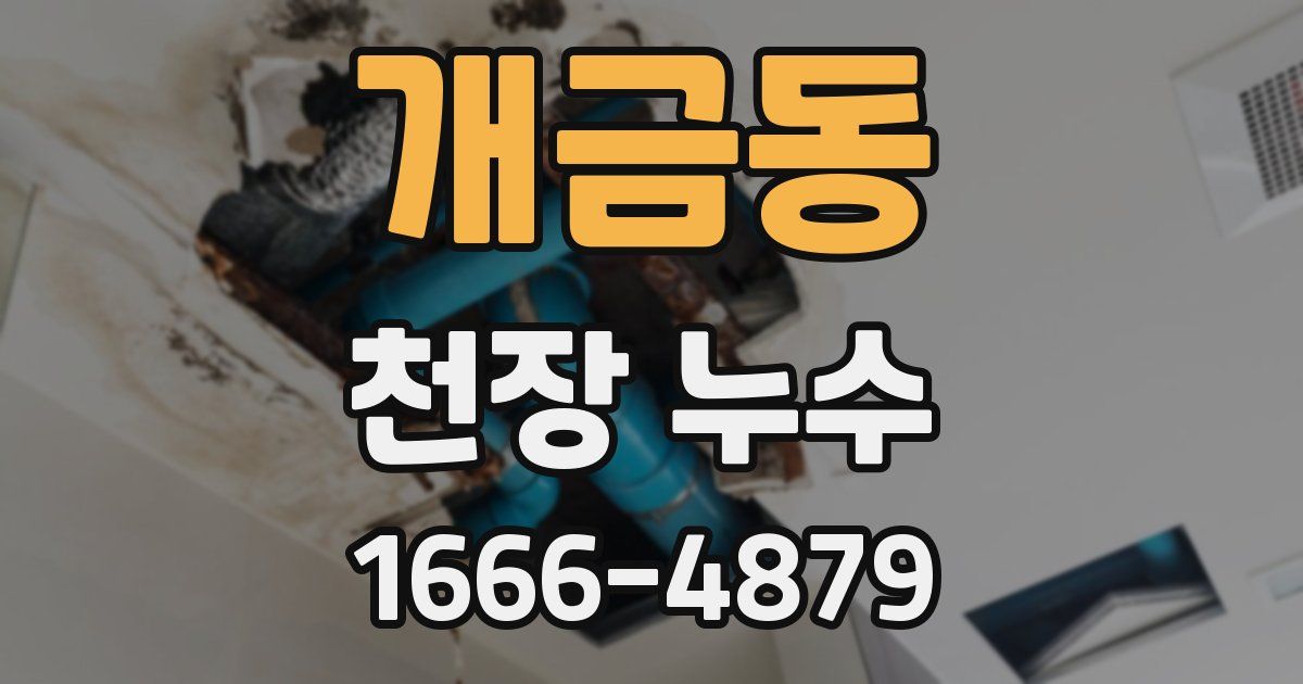개금동 천장 누수