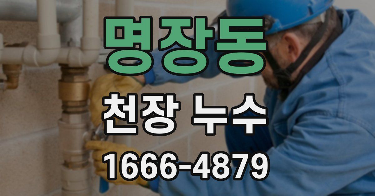 명장동 천장 누수