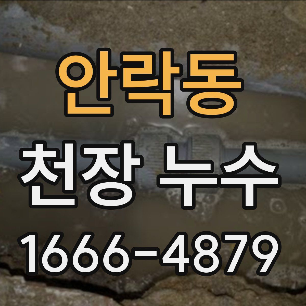 안락동 천장 누수