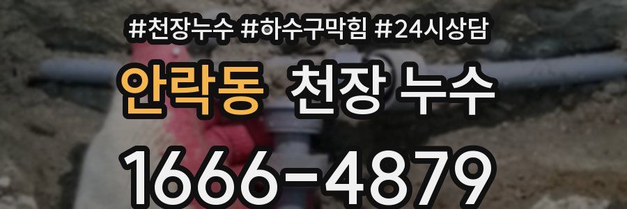 안락동 천장 누수