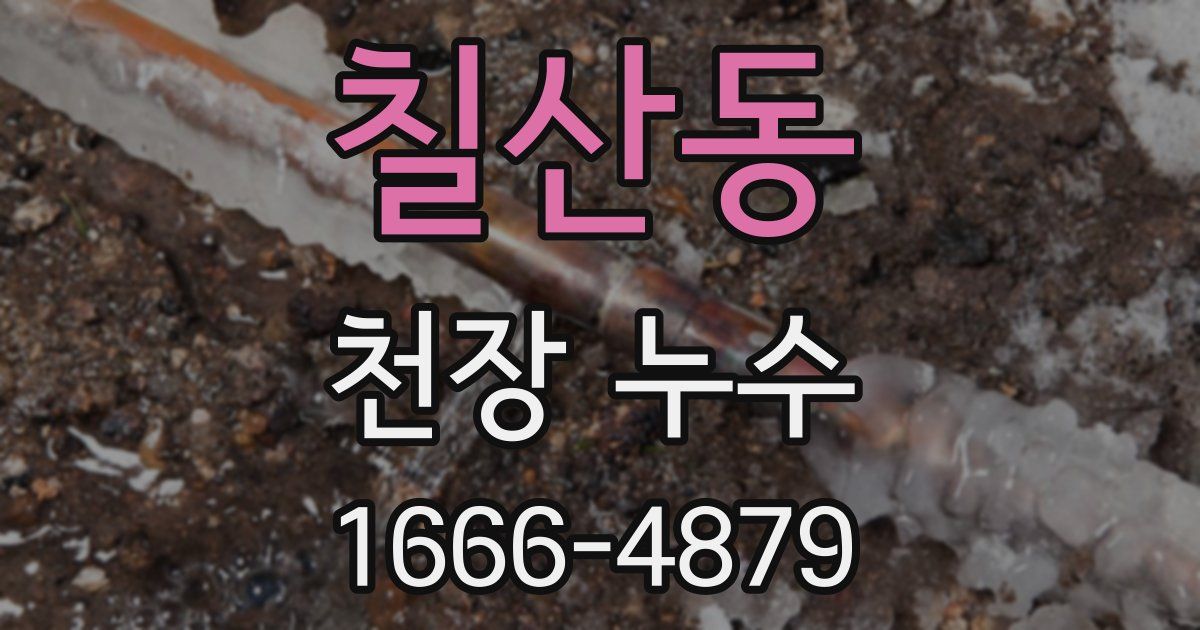 칠산동 천장 누수