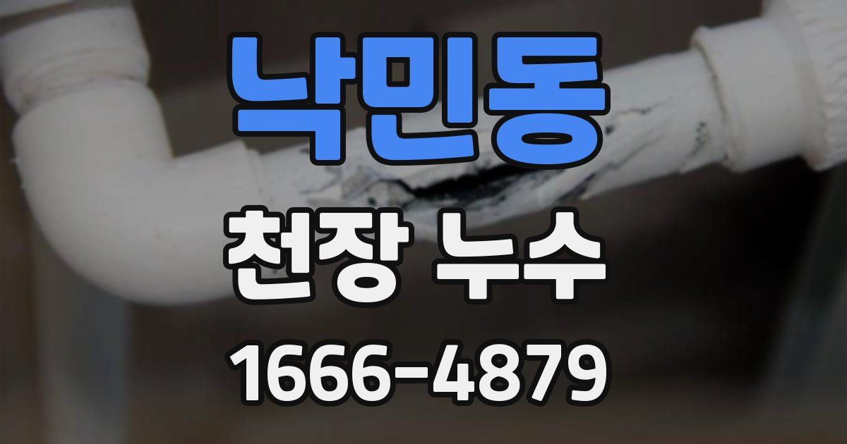 낙민동 천장 누수