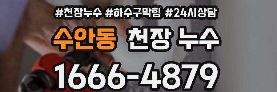 수안동 천장 누수