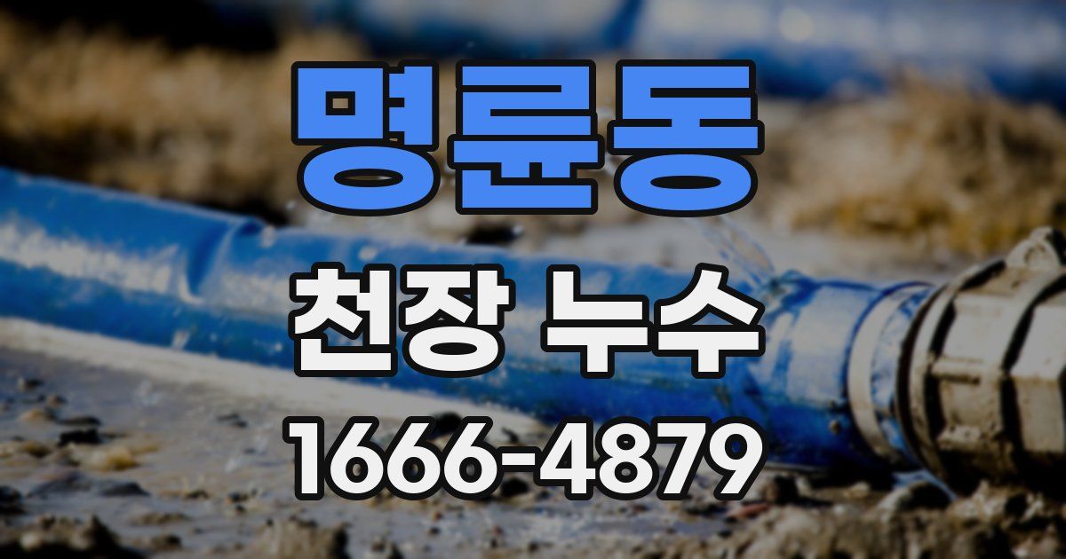 명륜동 천장 누수