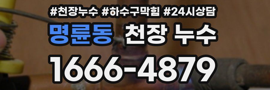 명륜동 천장 누수