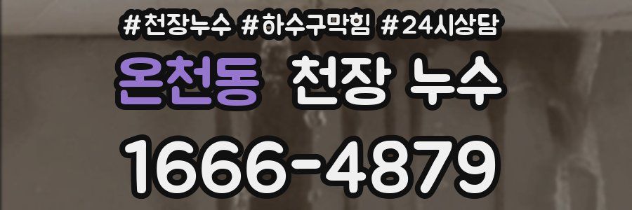 온천동 천장 누수