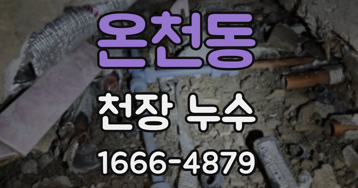 온천동 천장 누수