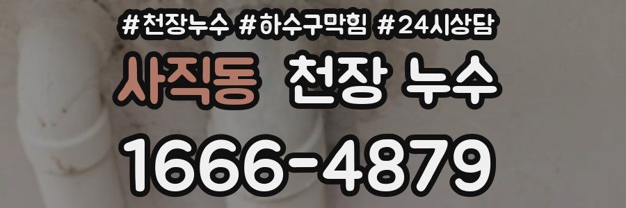 사직동 천장 누수