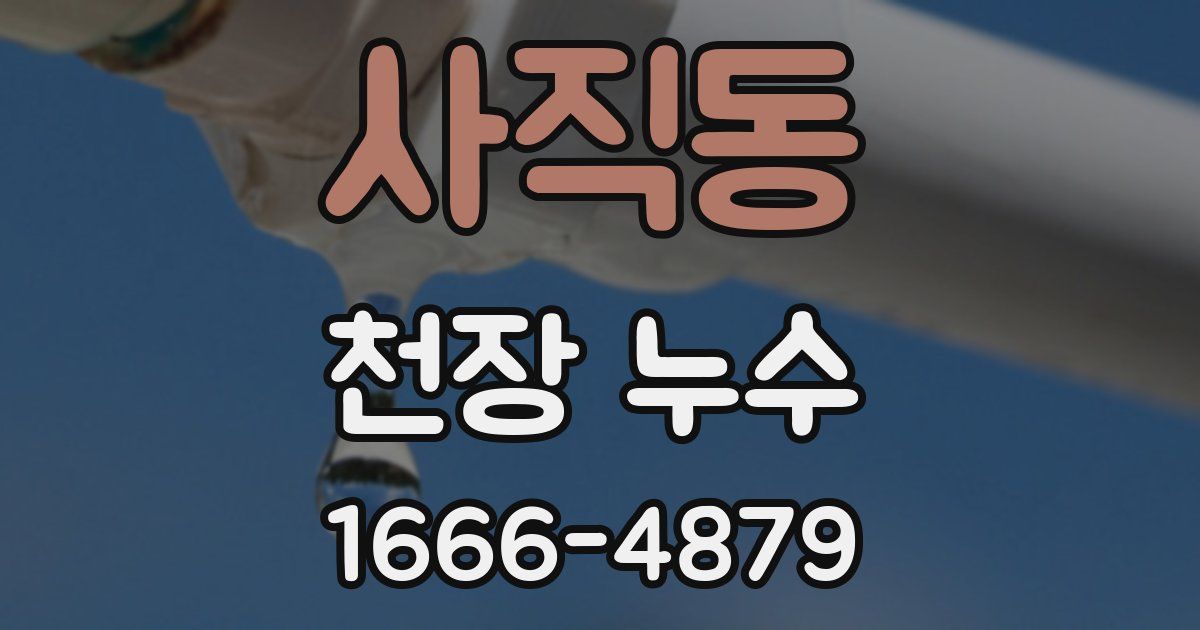 사직동 천장 누수