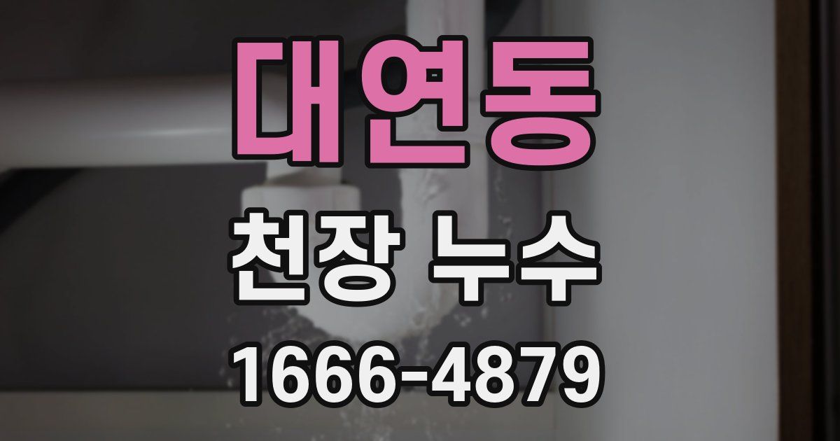 대연동 천장 누수