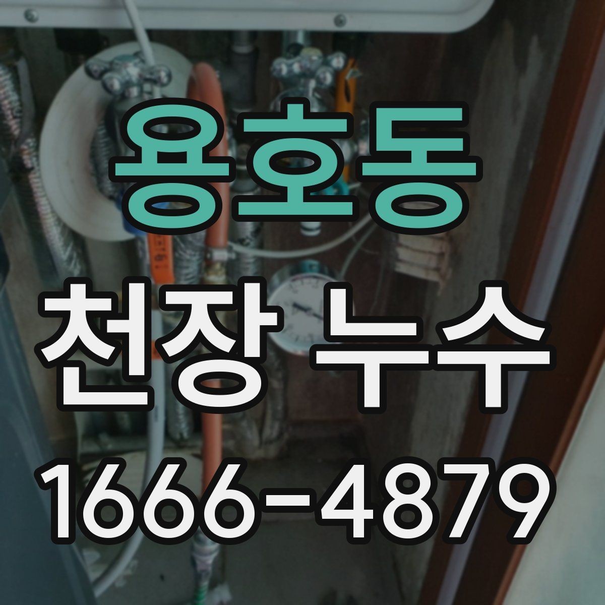 용호동 천장 누수 물 내려가는 소리와 함께 얼룩이 진해진다면