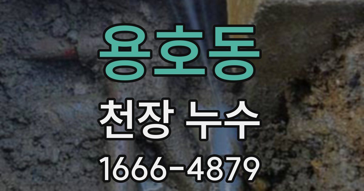 용호동 천장 누수