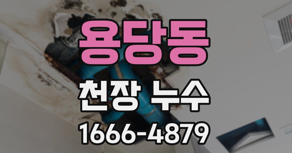 용당동 천장 누수