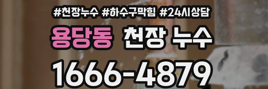 용당동 천장 누수