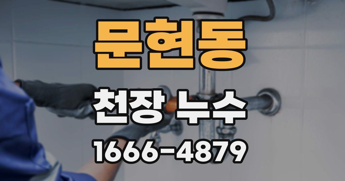 문현동 천장 누수