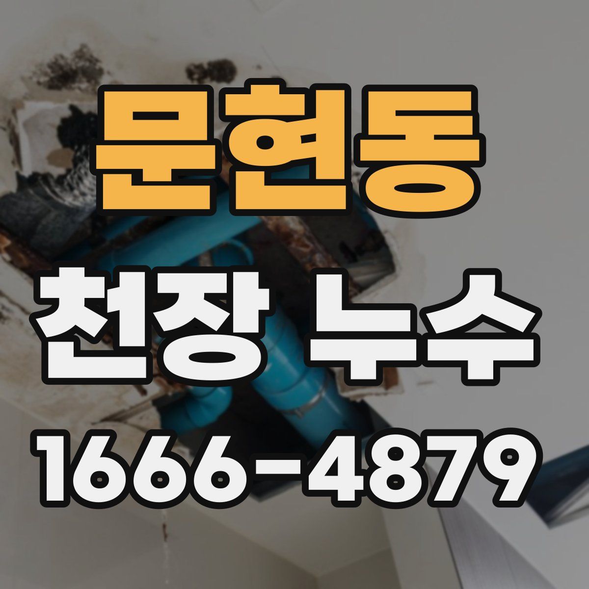 문현동 천장 누수