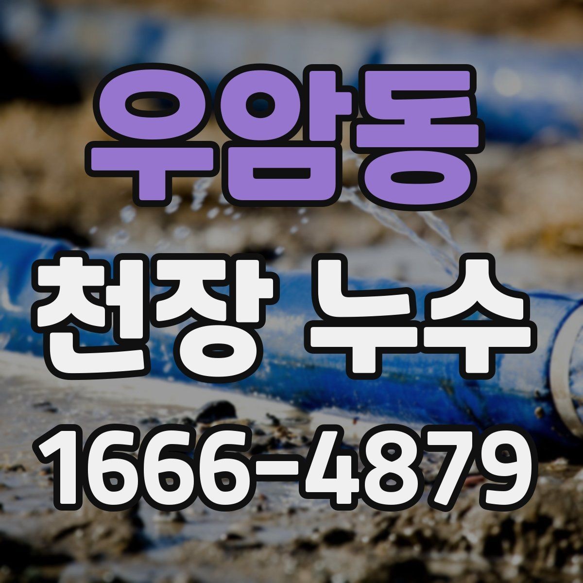 우암동 천장 누수 천장 위에서 뚝뚝 소리가 날 때 확인할 것