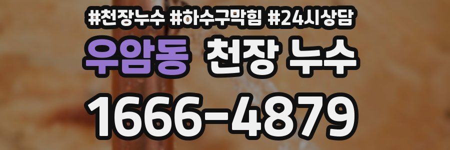 우암동 천장 누수