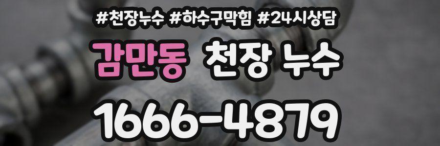 감만동 천장 누수