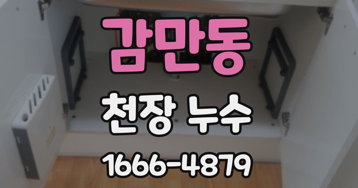 감만동 천장 누수