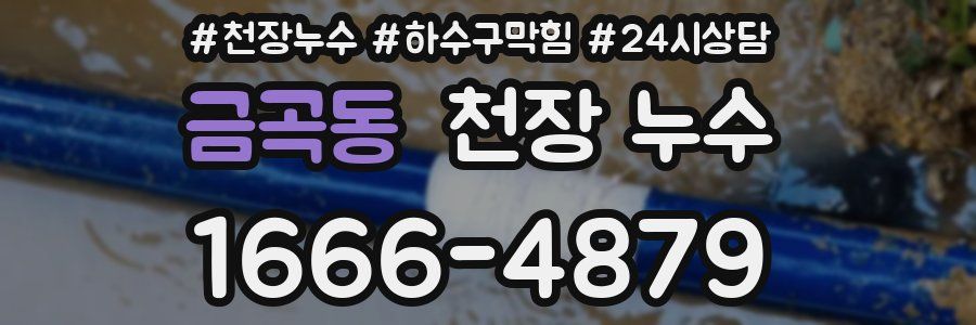 금곡동 천장 누수