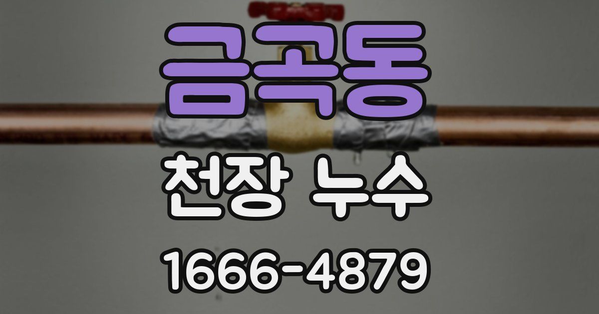 금곡동 천장 누수