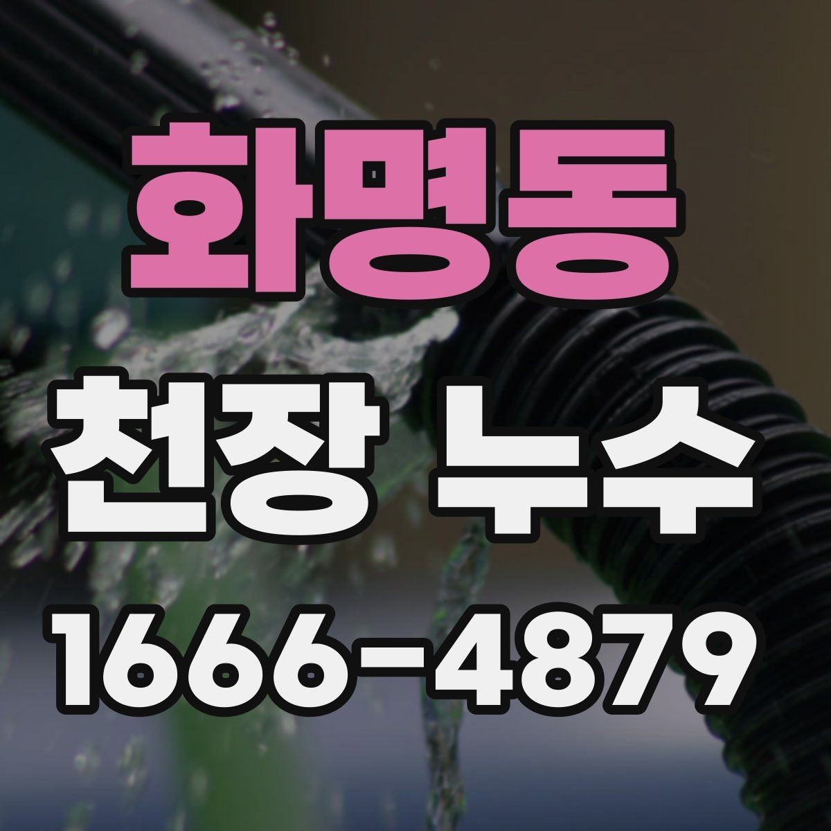 화명동 천장 누수 곰팡이 번식 환경이 생기기 전