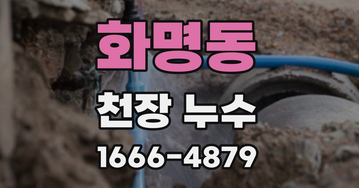 화명동 천장 누수