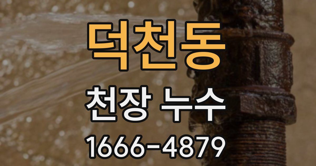 덕천동 천장 누수