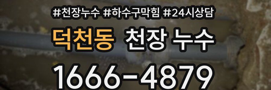 덕천동 천장 누수