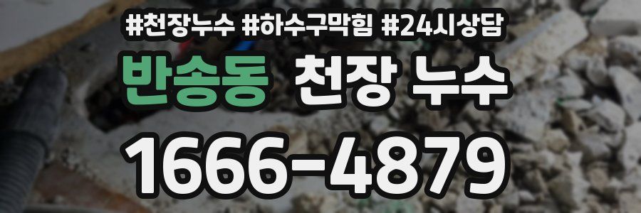 반송동 천장 누수