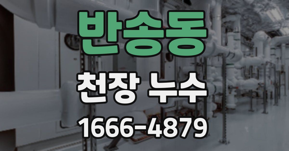 반송동 천장 누수