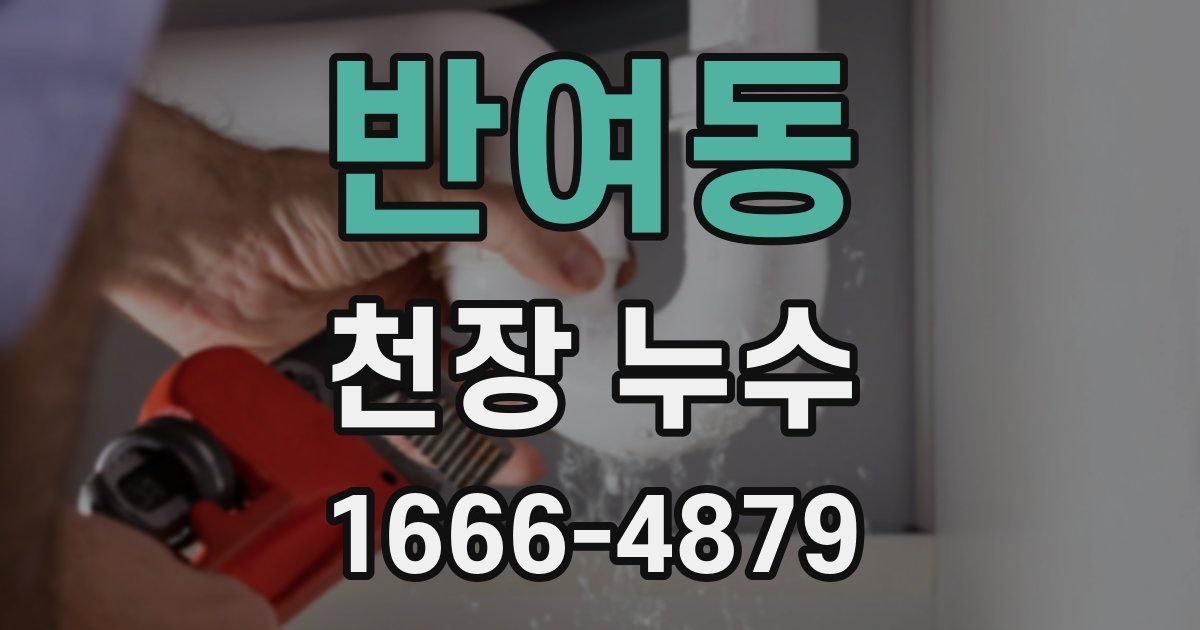 반여동 천장 누수