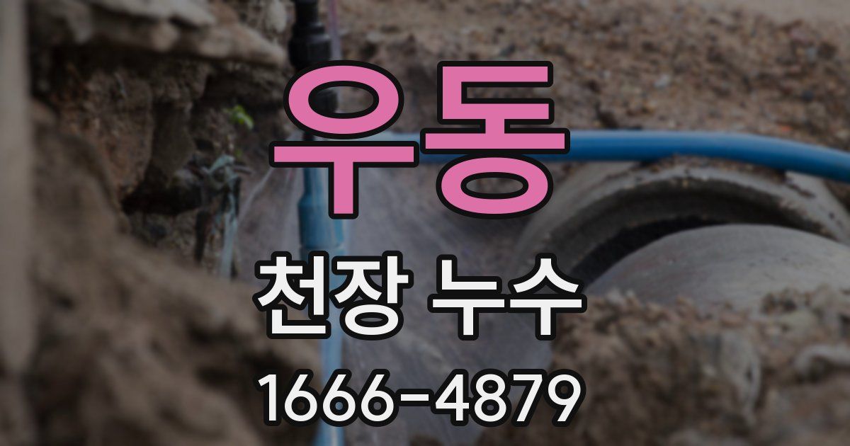 우동 천장 누수